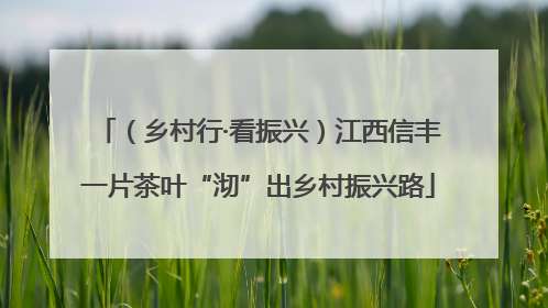 （乡村行·看振兴）江西信丰一片茶叶“沏”出乡村振兴路