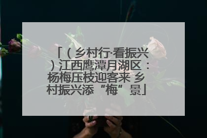（乡村行·看振兴）江西鹰潭月湖区：杨梅压枝迎客来 乡村振兴添“梅”景