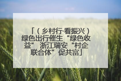 （乡村行·看振兴）绿色出行催生“绿色收益” 浙江瑞安“村企联合体”促共富