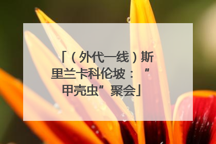（外代一线）斯里兰卡科伦坡：“甲壳虫”聚会