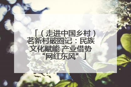 （走进中国乡村）茗新村破圈记：民族文化赋能 产业借势 “网红东风”
