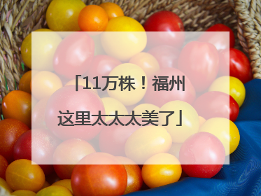 11万株！福州这里太太太美了