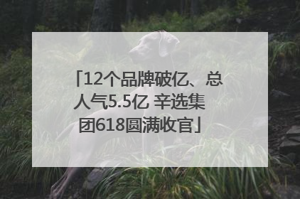 12个品牌破亿、总人气5.5亿 辛选集团618圆满收官