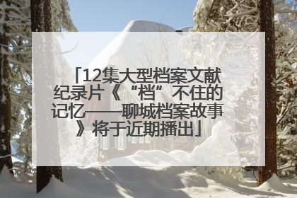 12集大型档案文献纪录片《“档”不住的记忆——聊城档案故事》将于近期播出