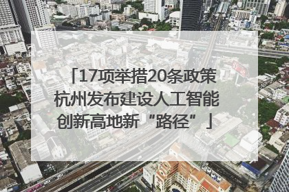 17项举措20条政策 杭州发布建设人工智能创新高地新“路径”