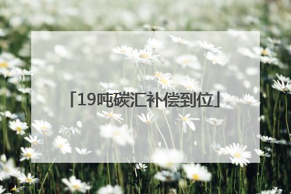 19吨碳汇补偿到位