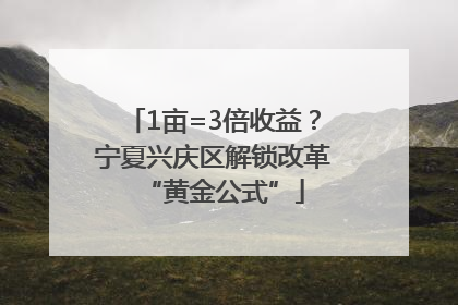 1亩=3倍收益？宁夏兴庆区解锁改革“黄金公式”