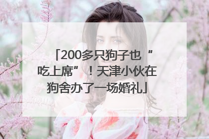 200多只狗子也“吃上席”！天津小伙在狗舍办了一场婚礼