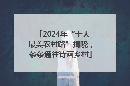 2024年“十大最美农村路”揭晓，条条通往诗画乡村