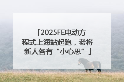 2025FE电动方程式上海站起跑，老将新人各有“小心思”