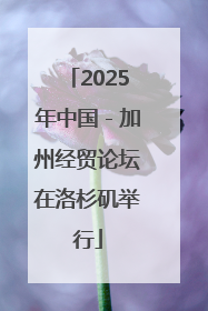 2025年中国－加州经贸论坛在洛杉矶举行