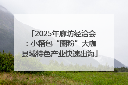 2025年廊坊经洽会：小箱包“圈粉”大咖 县域特色产业快速出海