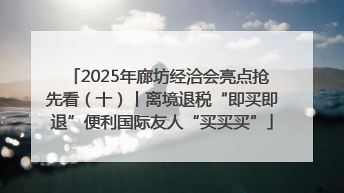 2025年廊坊经洽会亮点抢先看（十）丨离境退税“即买即退”便利国际友人“买买买”
