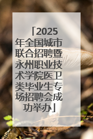 2025年全国城市联合招聘暨永州职业技术学院医卫类毕业生专场招聘会成功举办
