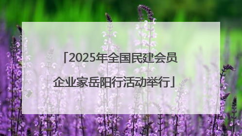2025年全国民建会员企业家岳阳行活动举行