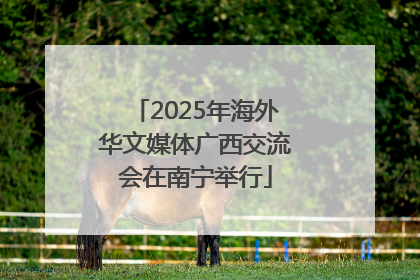 2025年海外华文媒体广西交流会在南宁举行
