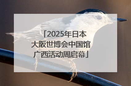 2025年日本大阪世博会中国馆广西活动周启幕