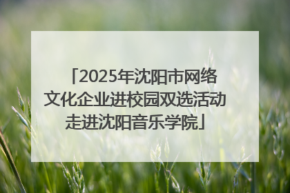 2025年沈阳市网络文化企业进校园双选活动走进沈阳音乐学院