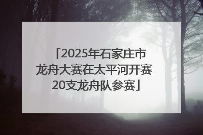 2025年石家庄市龙舟大赛在太平河开赛 20支龙舟队参赛