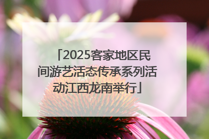 2025客家地区民间游艺活态传承系列活动江西龙南举行