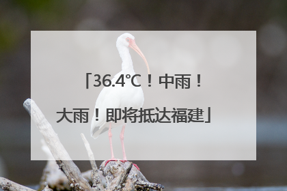 36.4℃！中雨！大雨！即将抵达福建