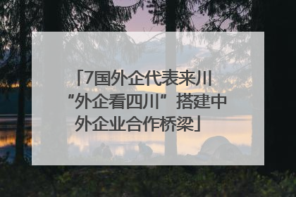 7国外企代表来川 “外企看四川”搭建中外企业合作桥梁