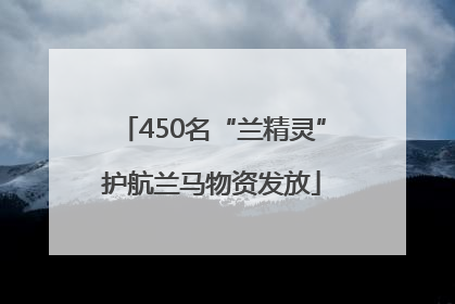 450名“兰精灵”护航兰马物资发放