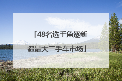 48名选手角逐新疆最大二手车市场