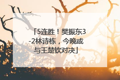 5连胜！樊振东3-2林诗栋，今晚或与王楚钦对决