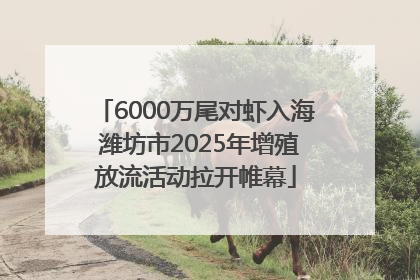 6000万尾对虾入海 潍坊市2025年增殖放流活动拉开帷幕