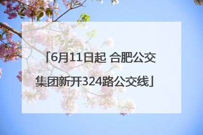 6月11日起 合肥公交集团新开324路公交线