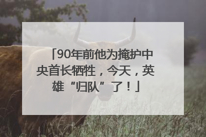 90年前他为掩护中央首长牺牲，今天，英雄“归队”了！