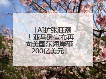 AI扩张狂潮！亚马逊宣布再向美国东海岸砸200亿美元