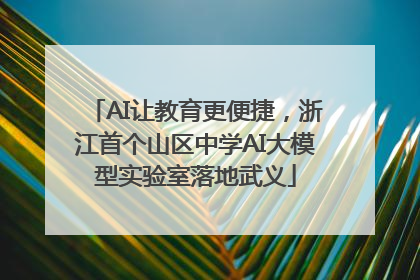AI让教育更便捷，浙江首个山区中学AI大模型实验室落地武义
