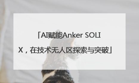 AI赋能Anker SOLIX，在技术无人区探索与突破
