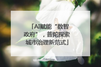 AI赋能“数智政府”，普陀探索城市治理新范式