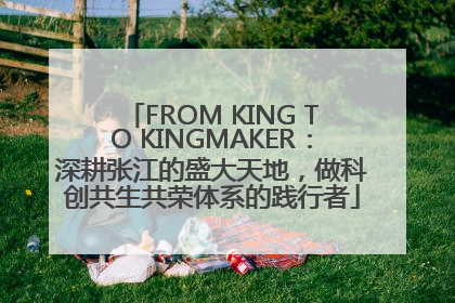 FROM KING TO KINGMAKER：深耕张江的盛大天地，做科创共生共荣体系的践行者
