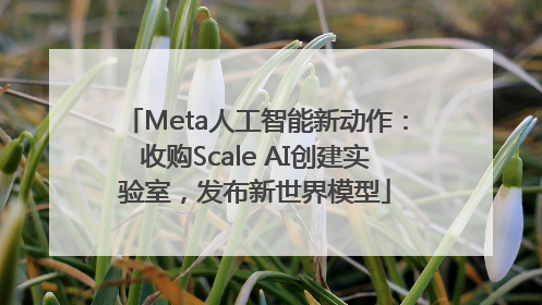 Meta人工智能新动作：收购Scale AI创建实验室，发布新世界模型