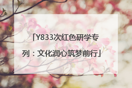 Y833次红色研学专列：文化润心筑梦前行